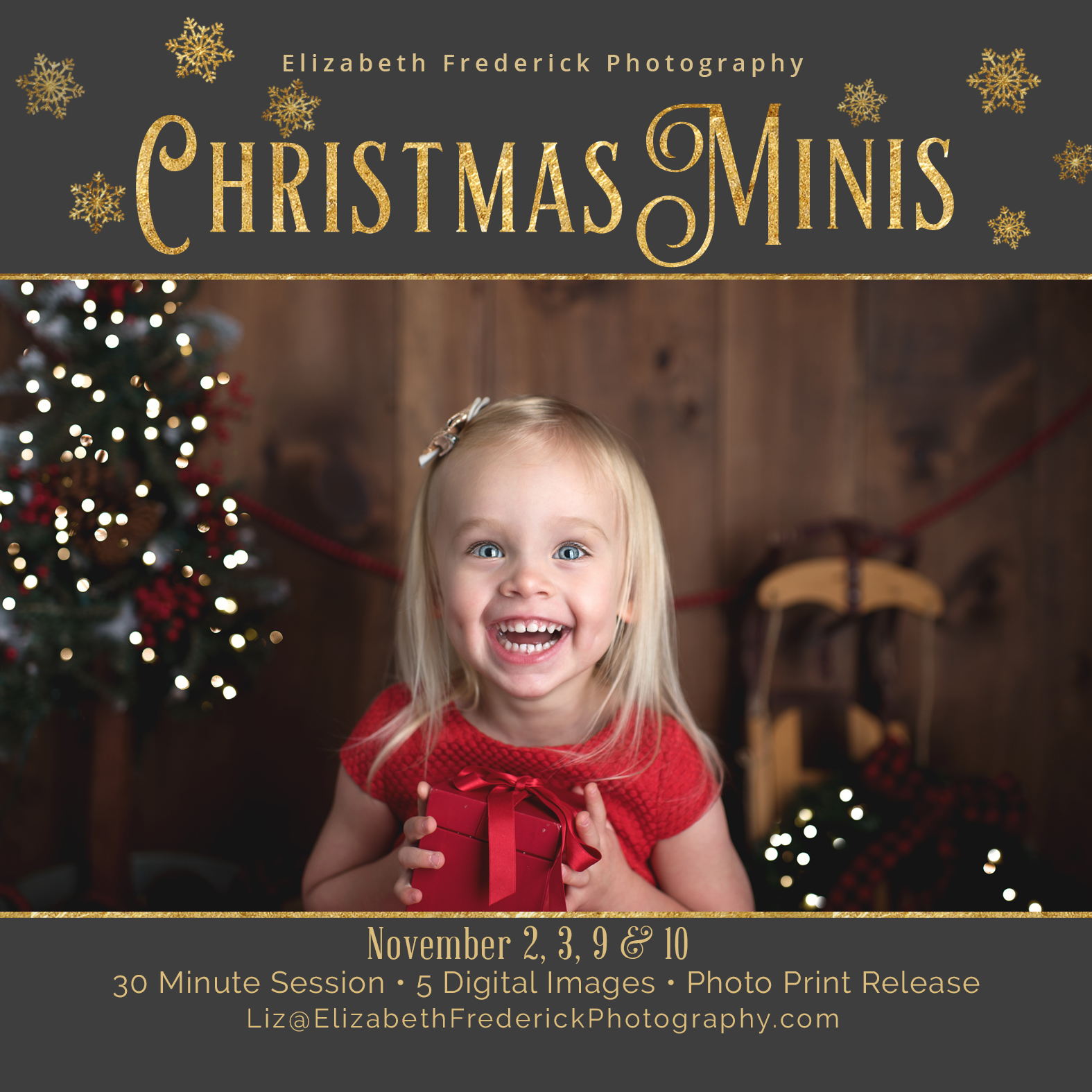 Now Booking 2018 Holiday Mini Sessions Ct Photographer