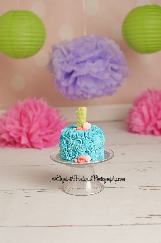 Under the Sea Smash Cake| You've Been Cupcaked | Elizabeth Frederick Photography