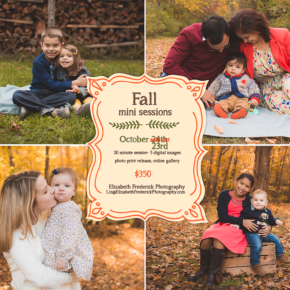 Fall Mini Sessions Ct Photographer Elizabeth Frederick Photography