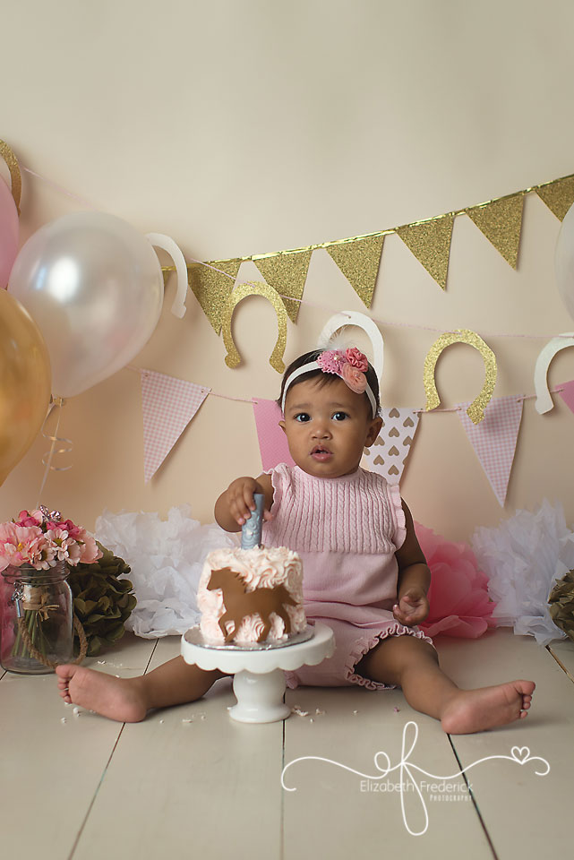 Aniya | Beacon Falls, CT Smash Cake Photographer - Elizabeth Frederick ...