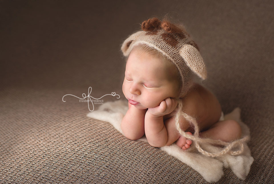 Giraffe Newborn Photography Session | CT Newborn Photographer Elizabeth Frederick Photography