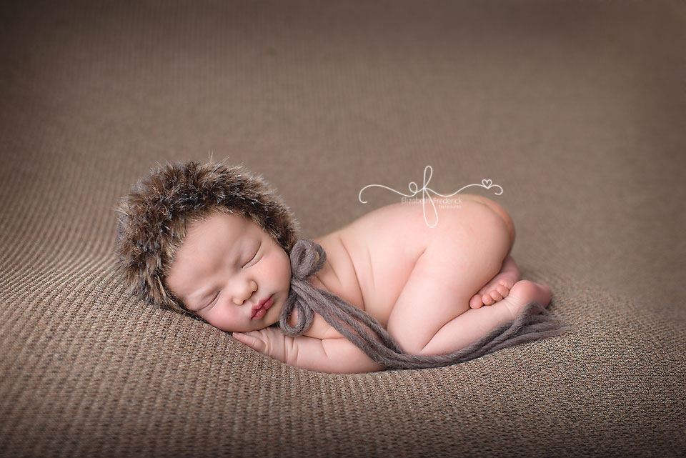 CT Newborn Photography Elizabeth Frederick Photography 