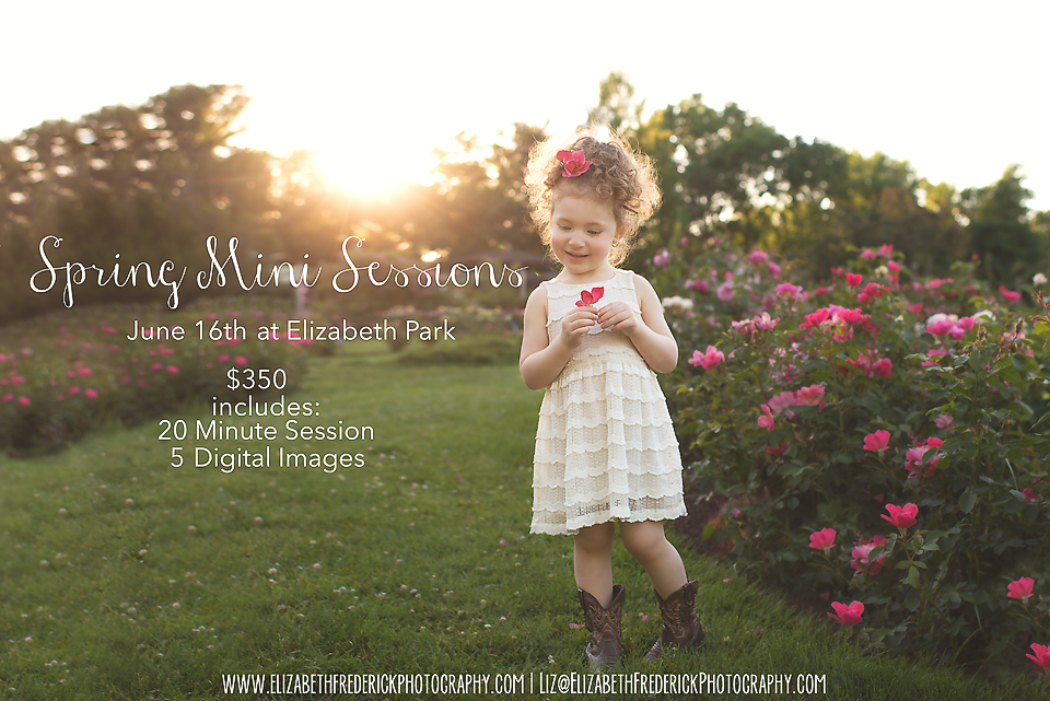 Spring Mini Sessions | Elizabeth Park West Hartford CT photography session | CT Photographer Elizabeth Frederick Photography