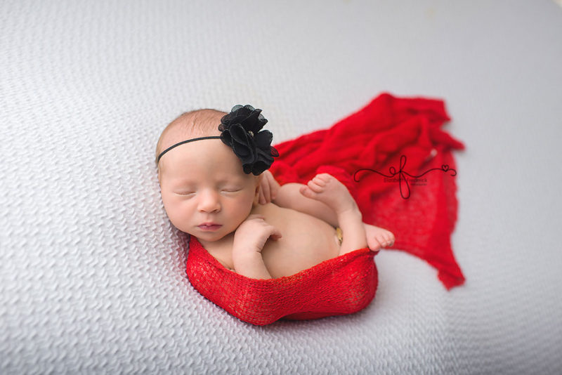 Lady Bug newborn Photography Session | CT Newborn Photographer Elizabeth Frederick Photography