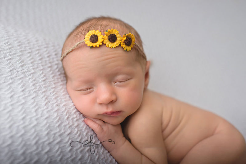 Lady Bug newborn Photography Session | CT Newborn Photographer Elizabeth Frederick Photography