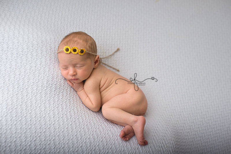 Lady Bug newborn Photography Session | CT Newborn Photographer Elizabeth Frederick Photography