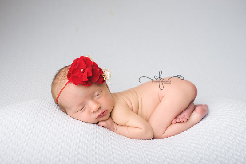 Lady Bug newborn Photography Session | CT Newborn Photographer Elizabeth Frederick Photography