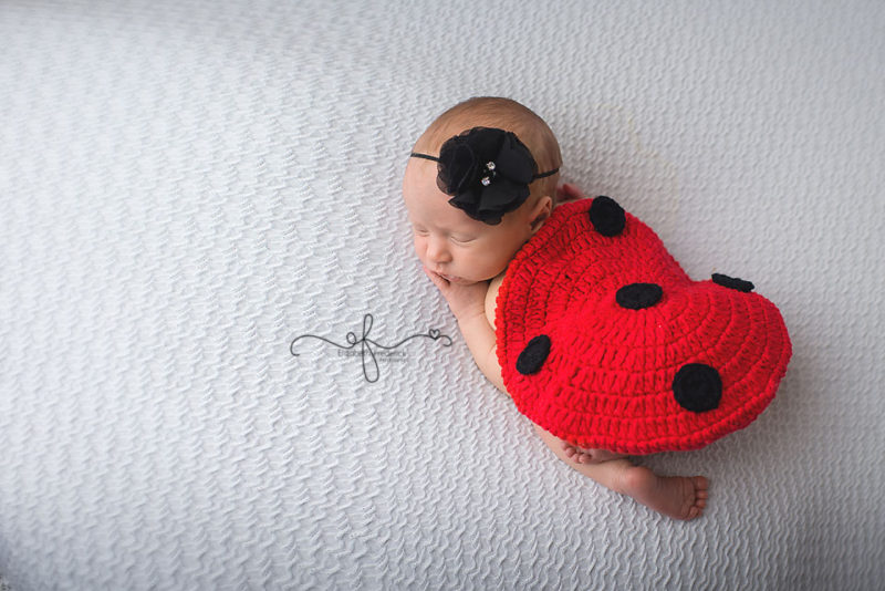 Lady Bug newborn Photography Session | CT Newborn Photographer Elizabeth Frederick Photography