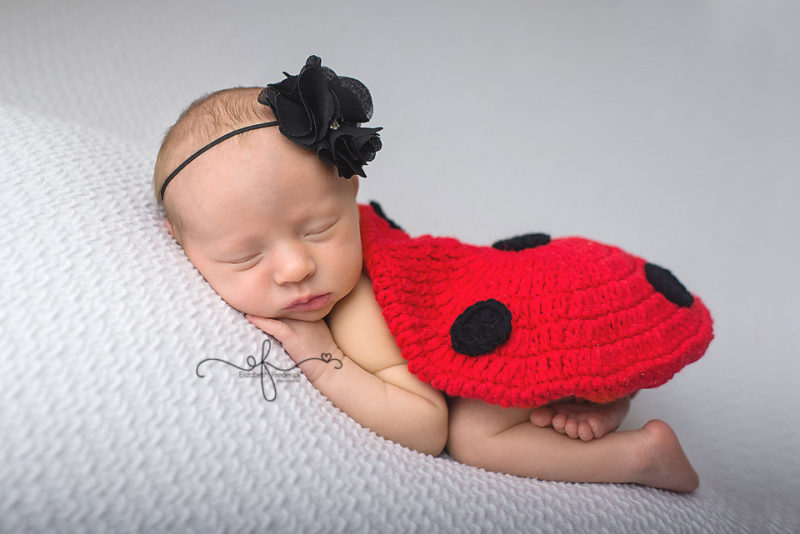 Lady Bug newborn Photography Session | CT Newborn Photographer Elizabeth Frederick Photography