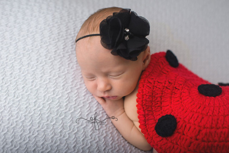 Lady Bug newborn Photography Session | CT Newborn Photographer Elizabeth Frederick Photography