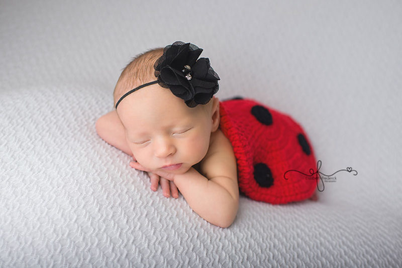 Lady Bug newborn Photography Session | CT Newborn Photographer Elizabeth Frederick Photography