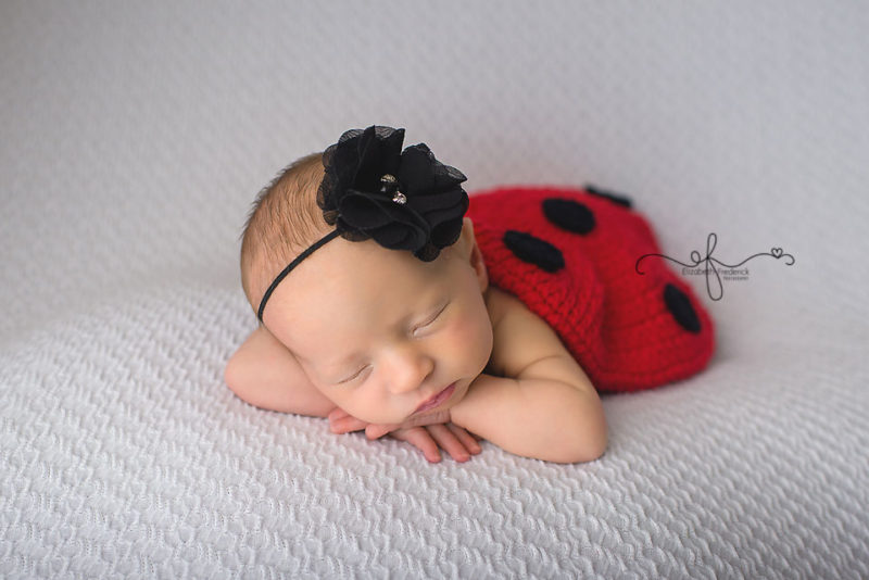 Lady Bug newborn Photography Session | CT Newborn Photographer Elizabeth Frederick Photography