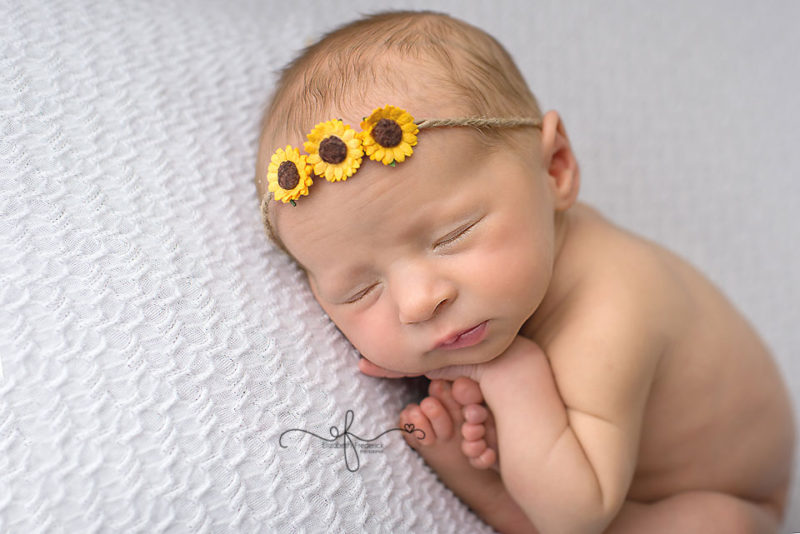 Lady Bug newborn Photography Session | CT Newborn Photographer Elizabeth Frederick Photography