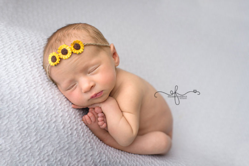 Lady Bug newborn Photography Session | CT Newborn Photographer Elizabeth Frederick Photography