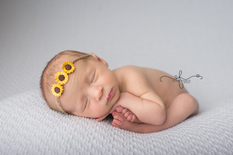 Lady Bug newborn Photography Session | CT Newborn Photographer Elizabeth Frederick Photography