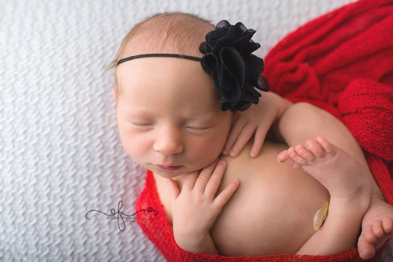 Lady Bug newborn Photography Session | CT Newborn Photographer Elizabeth Frederick Photography