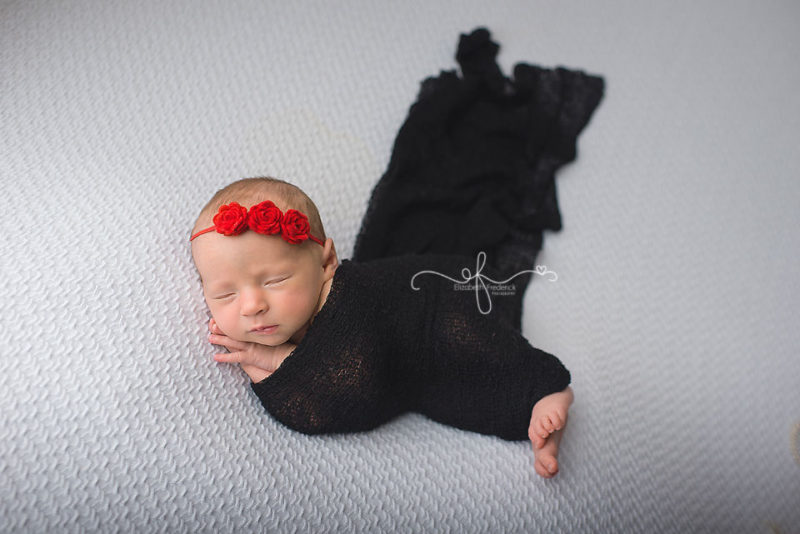 Lady Bug newborn Photography Session | CT Newborn Photographer Elizabeth Frederick Photography