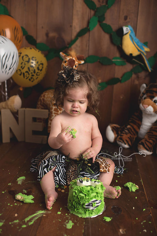 Jungle Smash Cake Session | Jungle First Birthday Party | CT Smash Cake Photographer Elizabeth Frederick Photography