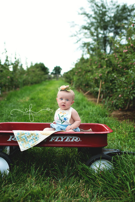 Hickory Hills Orchard Session | Apple Orchard Session | CT Baby Photography | CT Baby Photographer Elizabeth Frederick Photography
