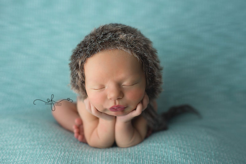 Newborn Mini Session | Blues and Browns | CT Newborn Photographer | CT Newborn Mini Photographer
