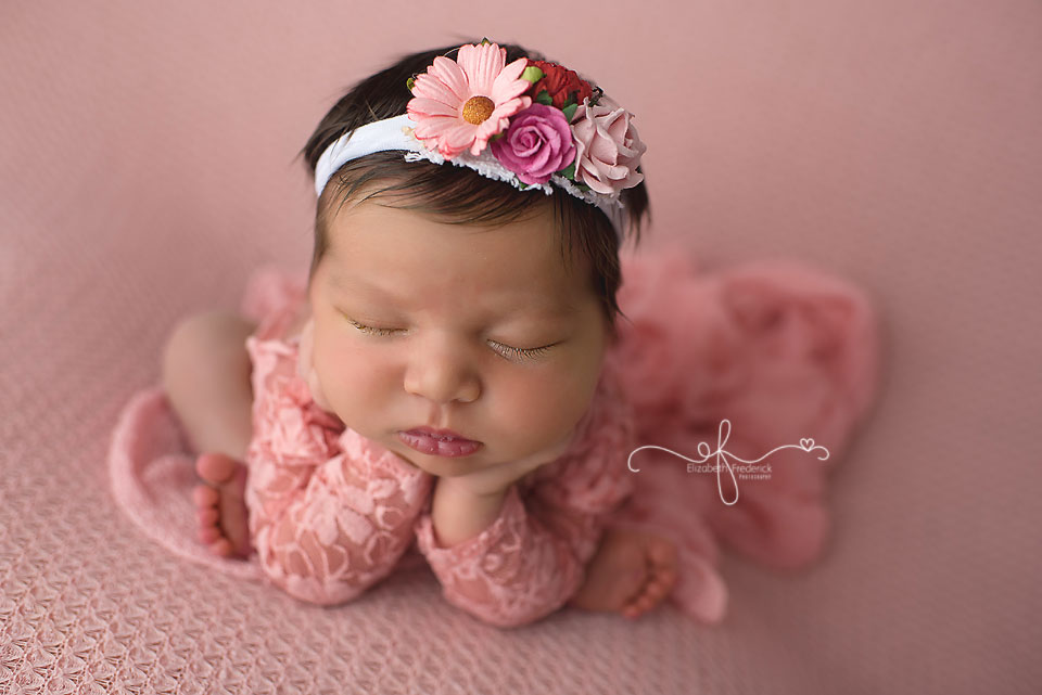 Newborn Photography Session | Newborn Girl Photography session | Newborn Pose idea | CT Newborn Photographer Elizabeth Frederick Photography.com
