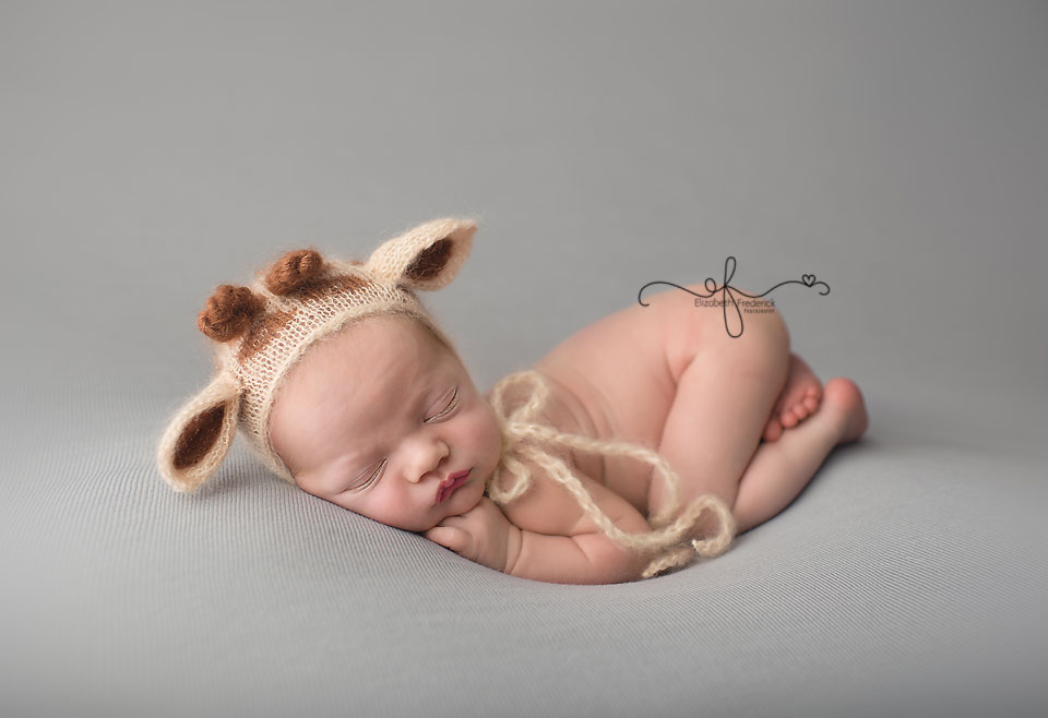 Giraffe Newborn | Noahs Ark | CT newborn photographer elizabeth frederick photography