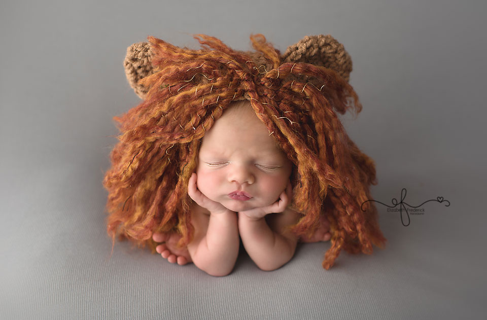 Lion Newborn | Noah's Ark Newborn | CT newborn photographer elizabeth frederick photography
