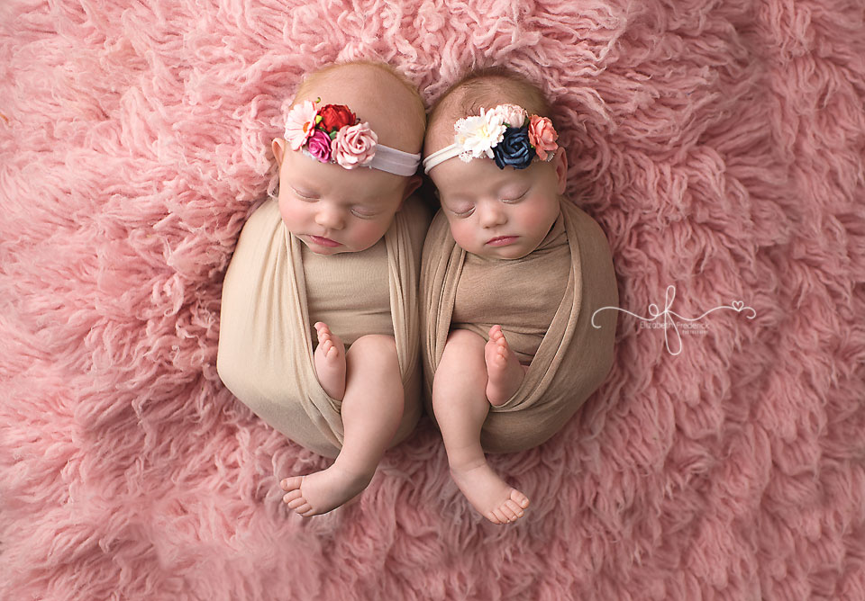 CT Newborn Photographer CT Twin Newborn Photographer Elizabeth Frederick Photography