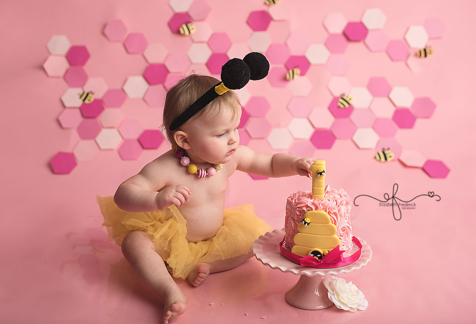 Bee Smash Cake Photography | CT Smash Cake Photographer Elizabeth Frederick Photography