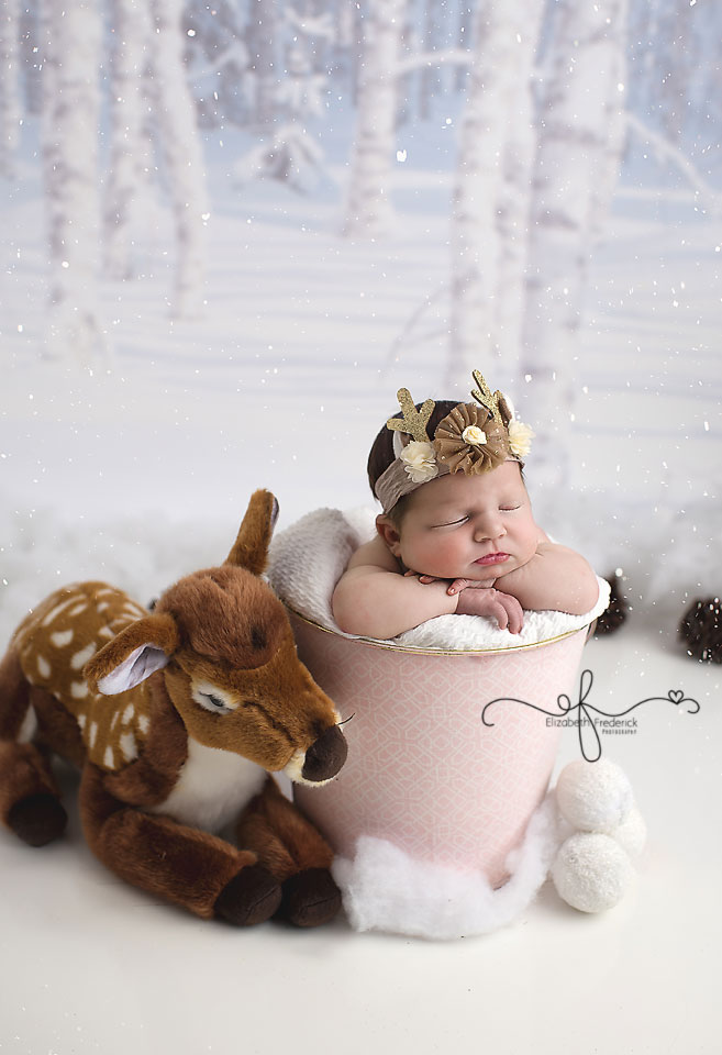 Winter Newborn Baby Deer Newborn Photography session CT Newborn Photographer Elizabeth Frederick Photography