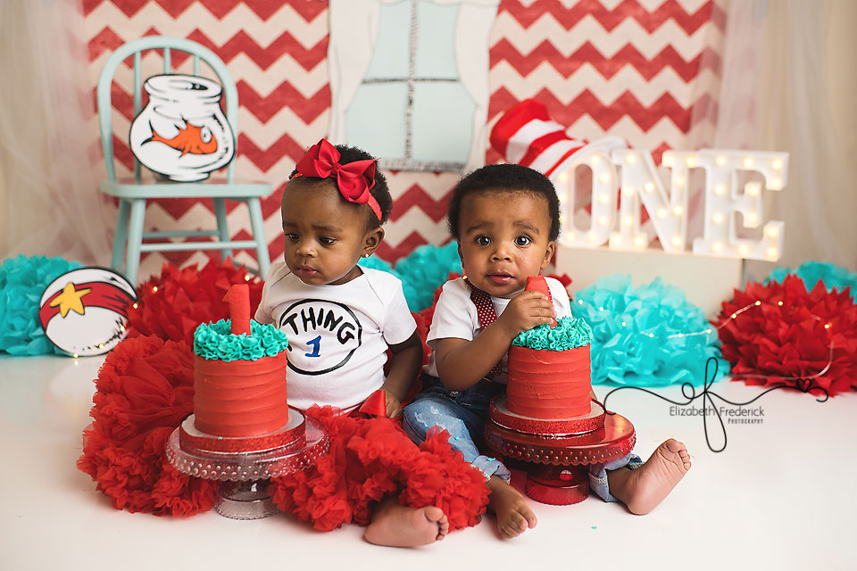 Dr Suess Smash Cake Photography Session Twin First Birthday CT Smash Cake Photographer Elizabeth Frederick Photography