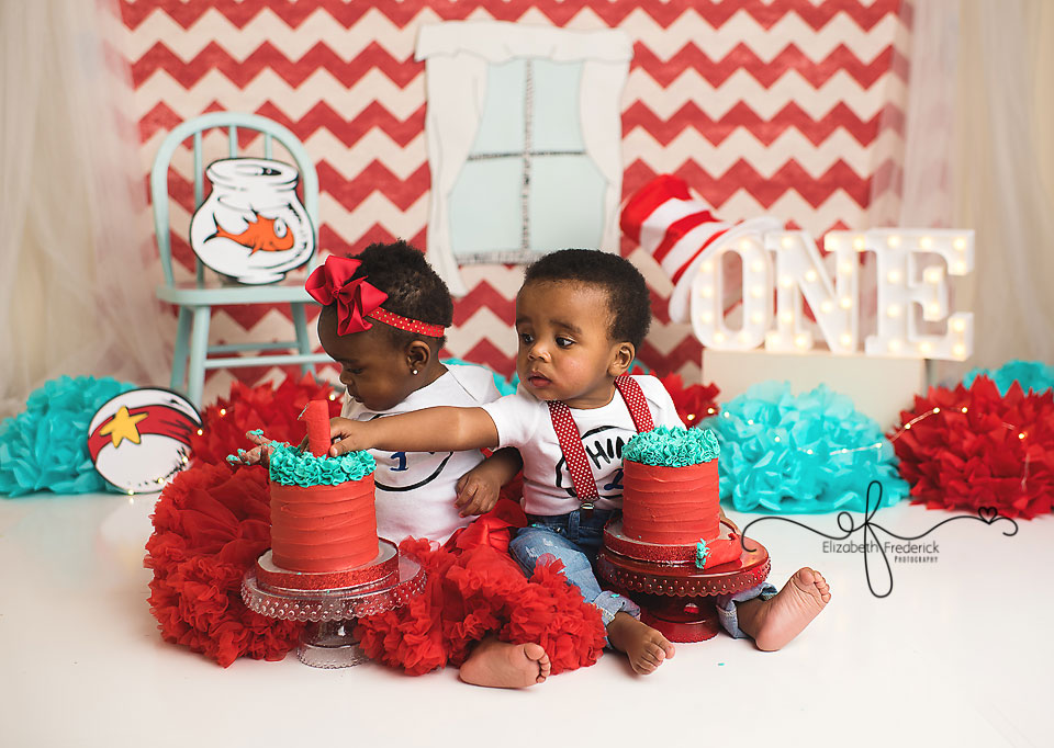 Dr Suess Smash Cake Photography Session Twin First Birthday CT Smash Cake Photographer Elizabeth Frederick Photography