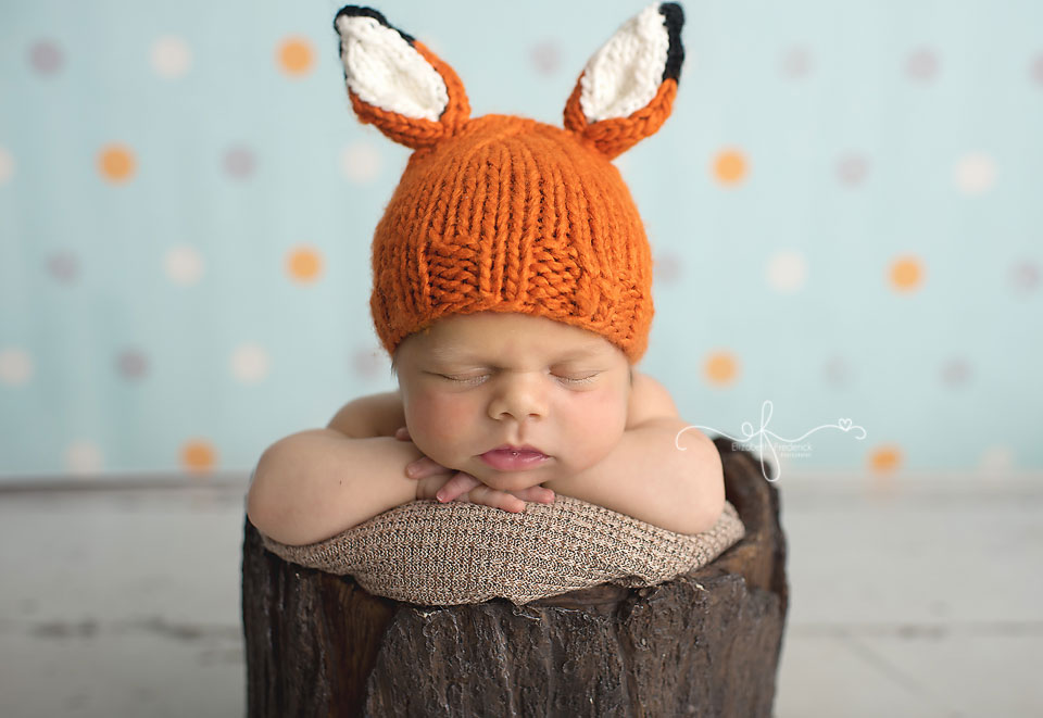 Fox Newborn Photography session | CT Newborn Photographer Elizabeth Frederick Photography