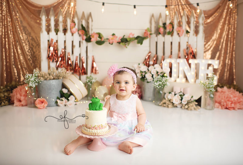 First Birthday Photos | Princess & Frog Themed Smash Cake Session | Garden Party Smash Cake | CT Smash Cake Photographer Elizabeth Frederick Photography