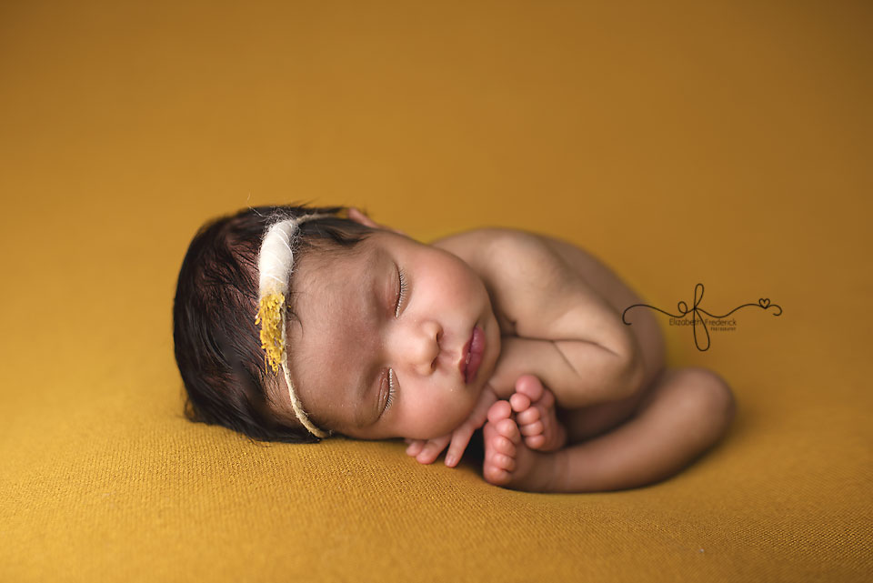Mustard Yellow Newborn Portrait, CT Newborn Photographer Elizabeth Frederick Photography