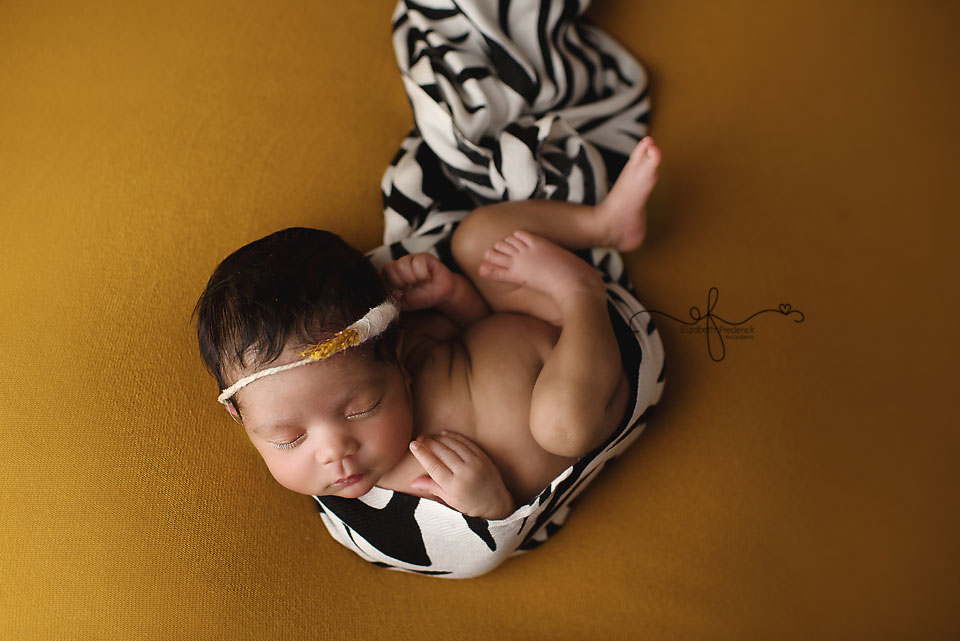 Newborn Photography in CT