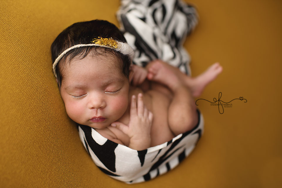 Newborn Photography in CT
