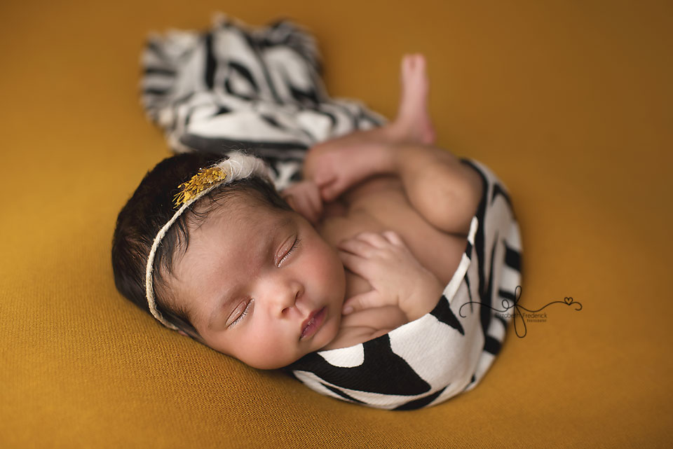 Zebra print newborn photo, safari newborn photography, CT Newborn Photographer Elizabeth Frederick Photography