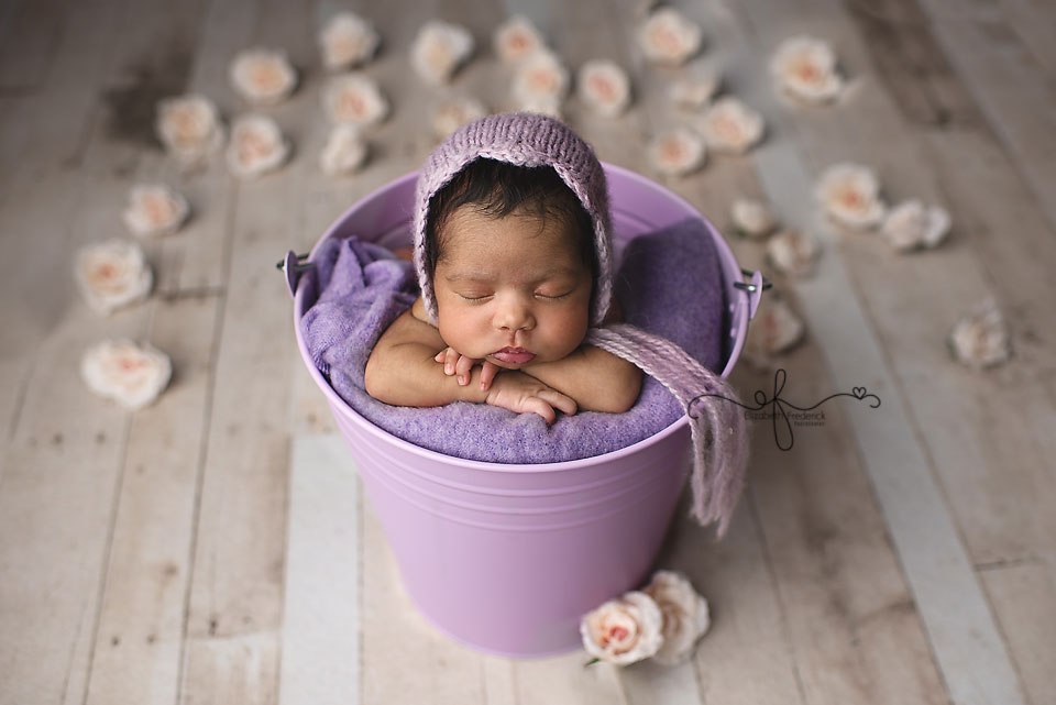 Baby In a bucket, floral newborn, CT Newborn Photographer Elizabeth Frederick Photography