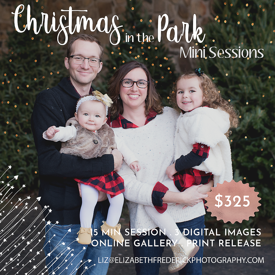 Christmas in the Park Mini Session Family Mini Sessions CT Photographer Elizabeth Frederick Photography