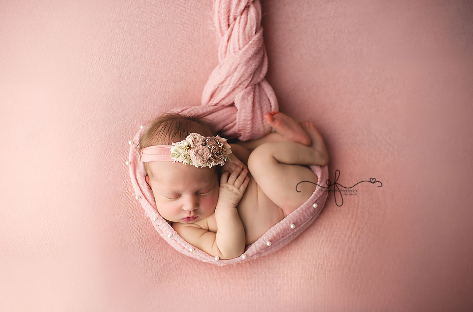 newborn photography ct | CT Newborn Photographer Elizabeth Frederick Photography
