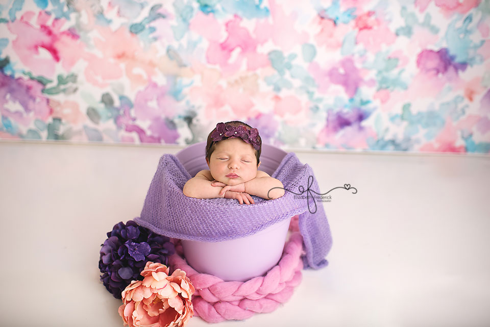 Newborn in a bucket, newborn photography in ct