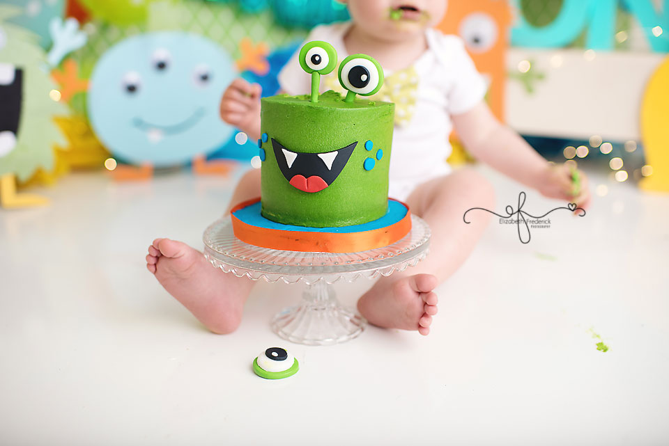 Little Monster Smash Cake First Birthday CT Smash Cake Photographer Elizabeth Frederick Photography.