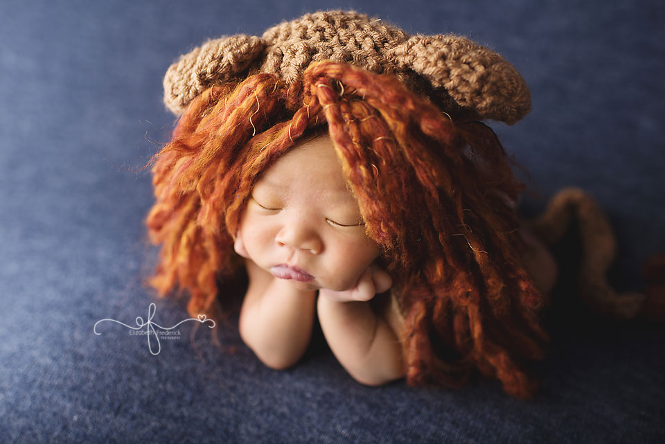 Lion Newborn | Newborn Photographer in CT Elizabeth Frederick Photography