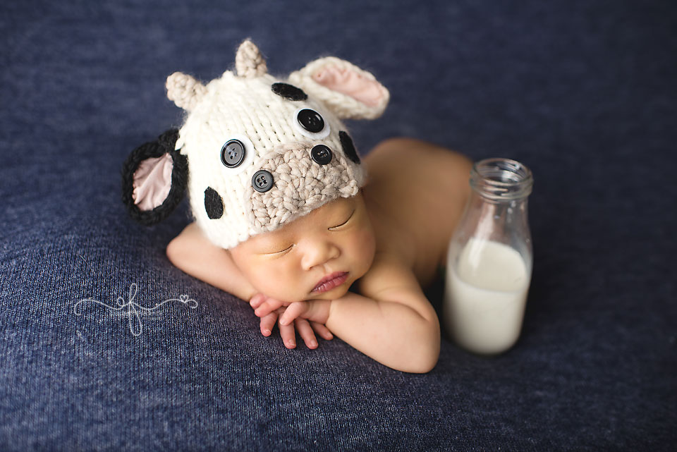 Newborn Cow | CT Newborn Photographer Elizabeth Frederick Photography