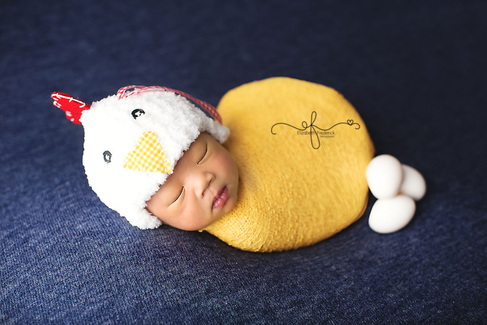 Chicken Newborn | CT Newborn Photography Elizabeth Frederick Photography