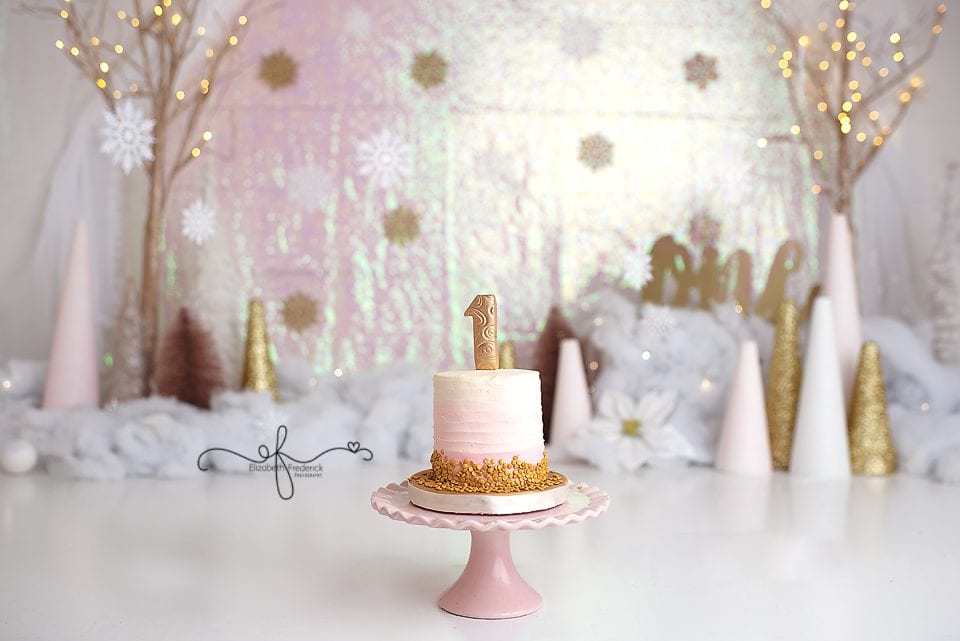 Winter Wonderland Smash Cake First Birthday Photography Session | CT Smash Cake Photographer Elizabeth Frederick Photography