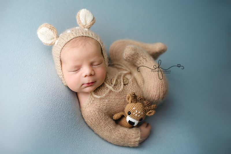 newborn reindeer woodland animals theme newborn photography session | CT newborn photographer Elizabeth Frederick Photography