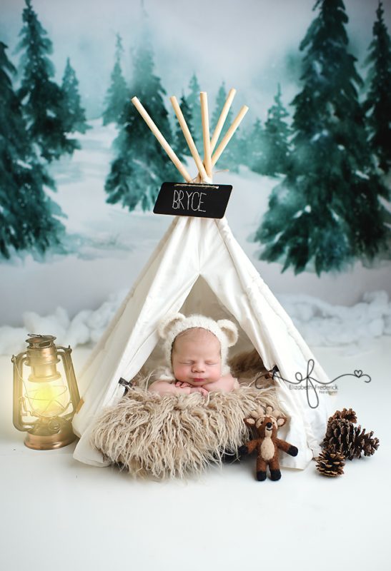newborn boy in tent, camping newborn, woodland creatures newborn | ct newborn photographer elizabeth frederick photography