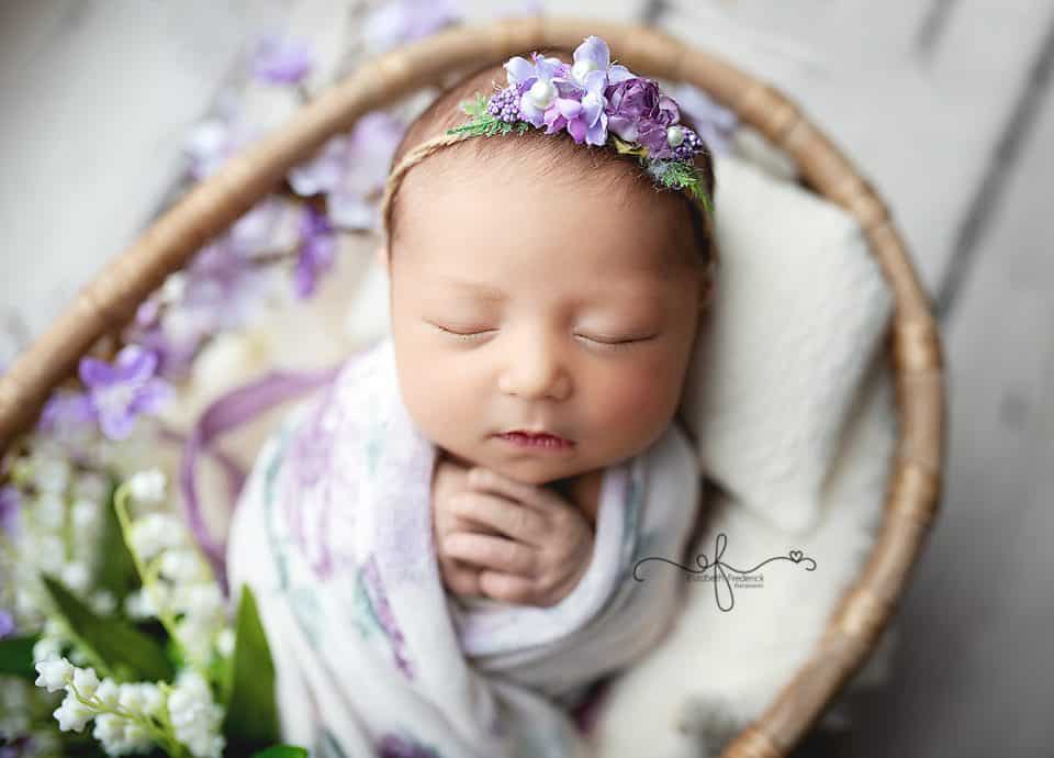 Baby in a basket | Newborn in a basket | CT newborn photography | CT Newborn Photographer Elizabeth Frederick Photography